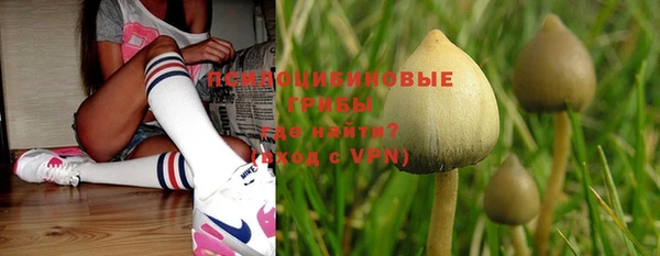 прущая мука Пестово