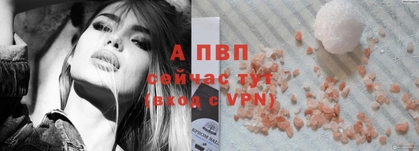 ПСИЛОЦИБИНОВЫЕ ГРИБЫ Переславль-Залесский